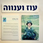 תערוכה בגולן מציורי הדר גולדמן: "ציור. השראה. משפחה."
