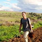 מהגליל – לשאר העולם