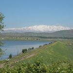 אבטחת הנשרים