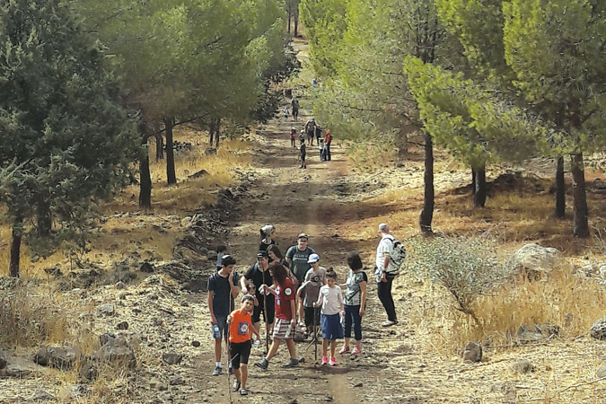 צעדת קצרין
