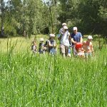צעדת קצרין והגולן ה-2