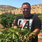 ישראל – מעצמת גידול מנגו