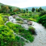 מסלול טיול קסום במקורות המים בכנרת