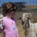 ספטמבר, אייכה?