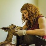 הידידה הטובה ביותר