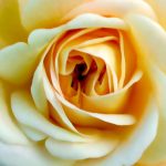 רעשים בפנים ובחוץ