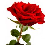 זוג חרדים באמצע הלילה