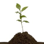 התחלה חדשה וטובה