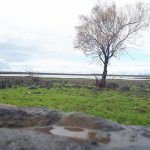 ילדי הגולן מודים על הגשם