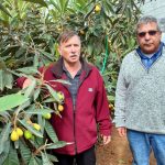 פירות קיץ – דווקא בחורף