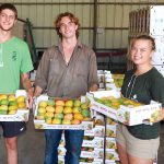 פחות "מאיה" השנה