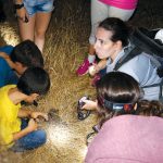 חיי הלילה בגולן – לא מה שחשבתם