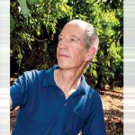 האיש שהציל את הליידי הוורודה