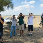 מצייצים מהשטח