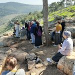 פסיפסים ורוח ומרבדי כלניות