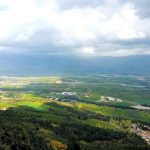 הירוק עכשיו ירוק מאוד