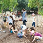 "הכול אני יכול בחופש הגדול"