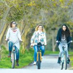 כניסה לאגמון החולה – במחיר בסיסי