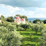 מכפר נחום לטבחה