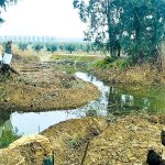 מזח הדייגים המשוחזר