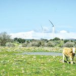 הירוק היום ירוק מאוד