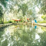 טיולי מעיינות בגולן