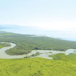 סקר מעיינות הכנרת