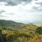 משולחן המועצה האזורית גולן