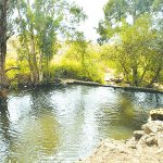 חיים בטבע חלומי