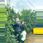 מתחברים בחקלאות