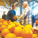 זני פירות הדר חדשים