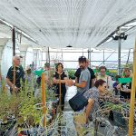 הוותיקים עם המכון