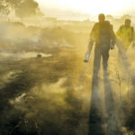 עֵד מקומי בגולן