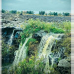 קוראים לטבע