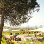 מתחם גלמפינג חדש נפתח בקיבוץ אורטל